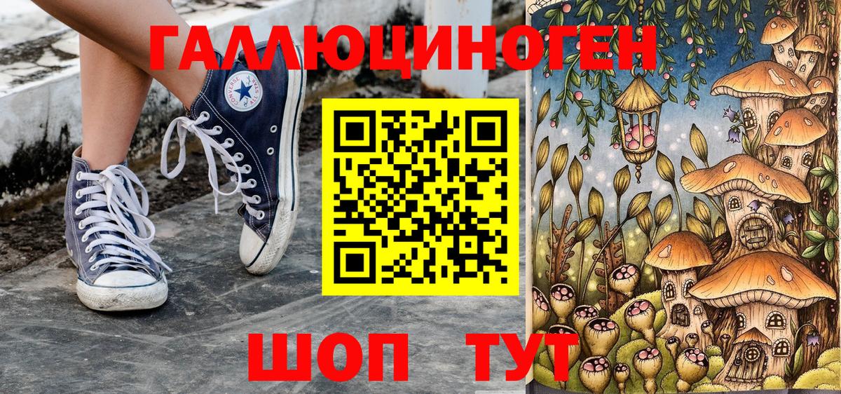 Псилоцибиновые грибы Psilocybine cubensis Избербаш